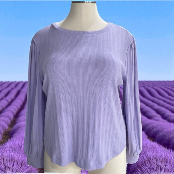 ON 34TH Lavender Long Sleeve Blouse XXL Soft Girl Coquette Cottagecore - Picture 1 of 11